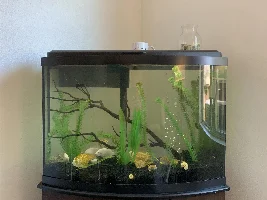 New guy