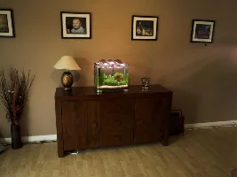 Saintly's60x30x36 Optiwhite( Re Scape)
