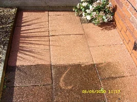 What you doing in your garden for 2020