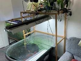 10 Tank's fish and tanks