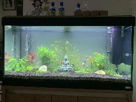 Need some advice on seeds