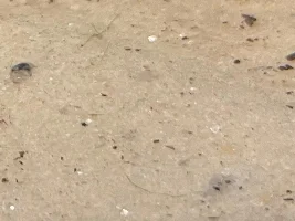 Signs of life?