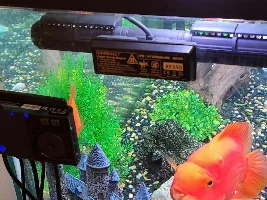 new circulation pump