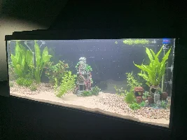 New to the forum