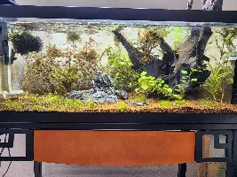 The 20g Long Progress
