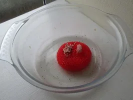 apple snails