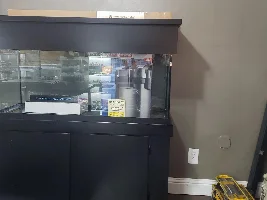 75 Gallon Build - Large Goldies