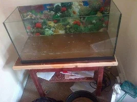 My 90 Litre Tank Journal/ Aquascape