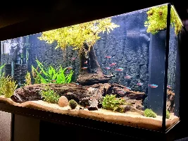 Little River Rio