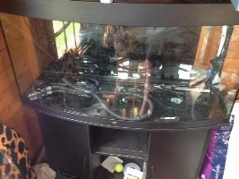Been Offered A Used Tank For £50?