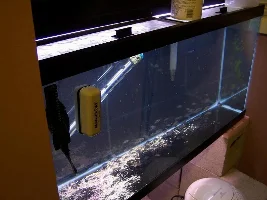 The other fish room.