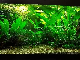New to plants :)
