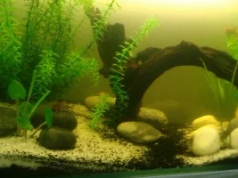 A 60Litre Named.. Aquapit..