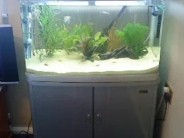 3ft Fish Tank