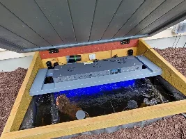Window Well Aquarium