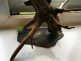 Why won’t you just sink