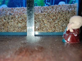 My extreme DIY journey from rookie to almost pro. Low Iron glass aquarium/sump. Anoxic Filtration System. Dr. Kevin Novak.