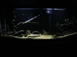 Community Shots