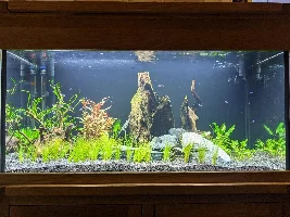 Starting fresh.