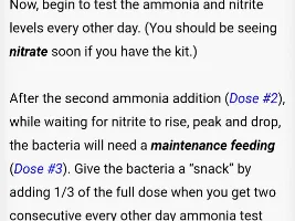 Ammonia too low now?