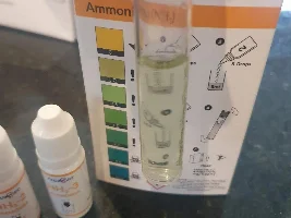 Nitrite has spiked