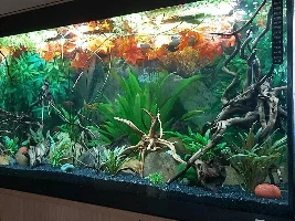 River stream 53g