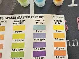 6 fish died today, huge spike in ammonia and nitrites