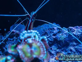 New photos! Take a look!