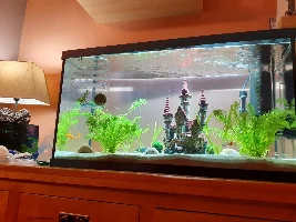 Help new babies !t