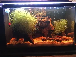Fluval Spec Five