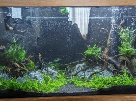 Nothing survives... out of ideas and about to break this tank down