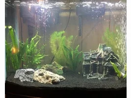 my tank (: