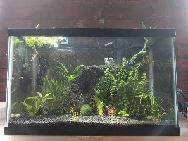 hi!