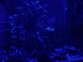 My 60L Cube