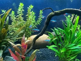 River Creek 22g