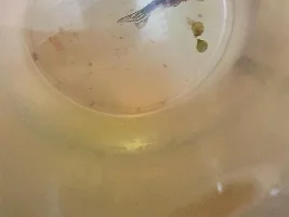 HELP danio!!!