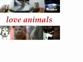 Most Of My Pets