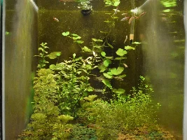Mini fish room