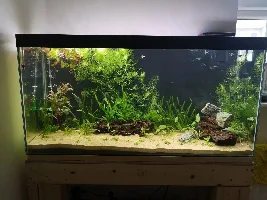 TofferMora tank journal