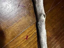 Is this wood safe to use as Driftwood?