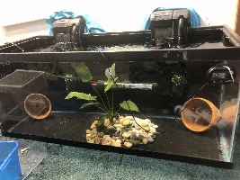 Substrate