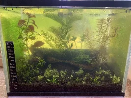 No Electricity Eco Shrimp Tank