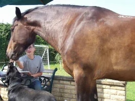 Took Charlie Jumping Today...