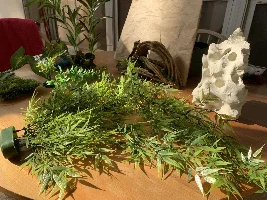 Fake Plants - for sale or trade (Michigan)
