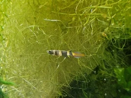 A few random pictures from the past week or so