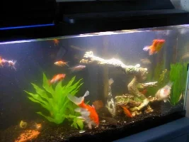 Now! Is This Overstocked