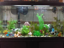 Yet Another New Guy