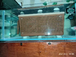 My extreme DIY journey from rookie to almost pro. Low Iron glass aquarium/sump. Anoxic Filtration System. Dr. Kevin Novak.