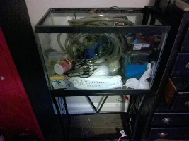 20g tall w/ stand and all equipment included. for sale. $180