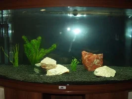 Vision 180 1st Tank